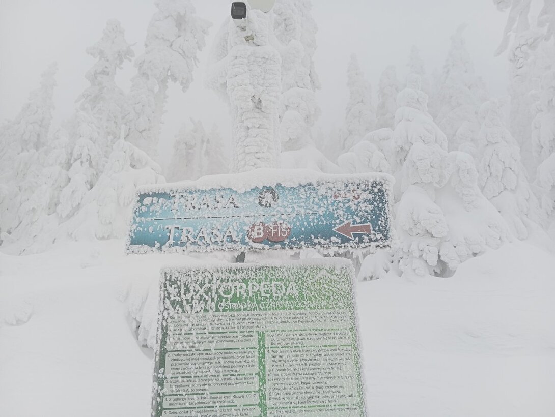 SAVE_20231202_214808.jpg