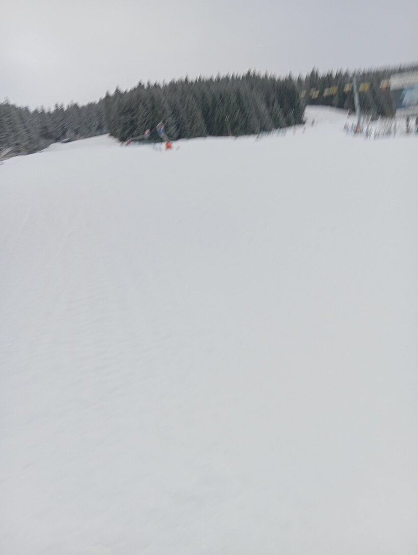 SAVE_20231215_090359.jpg