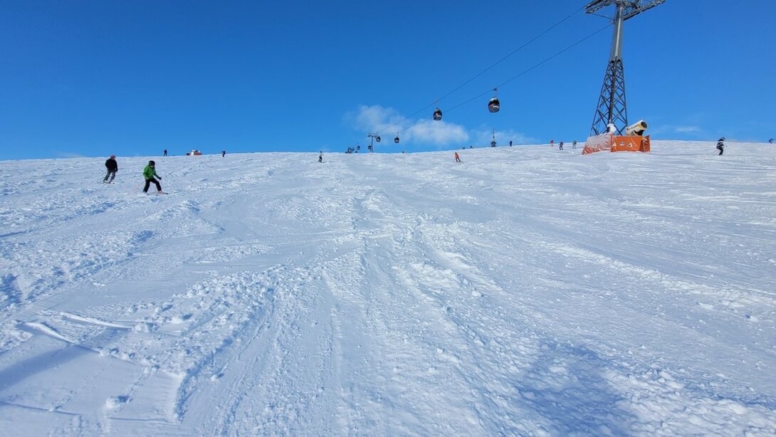 20240119_094921.thumb.jpg.687853d34aeb532080e2cffc3b2e2d6b.jpg