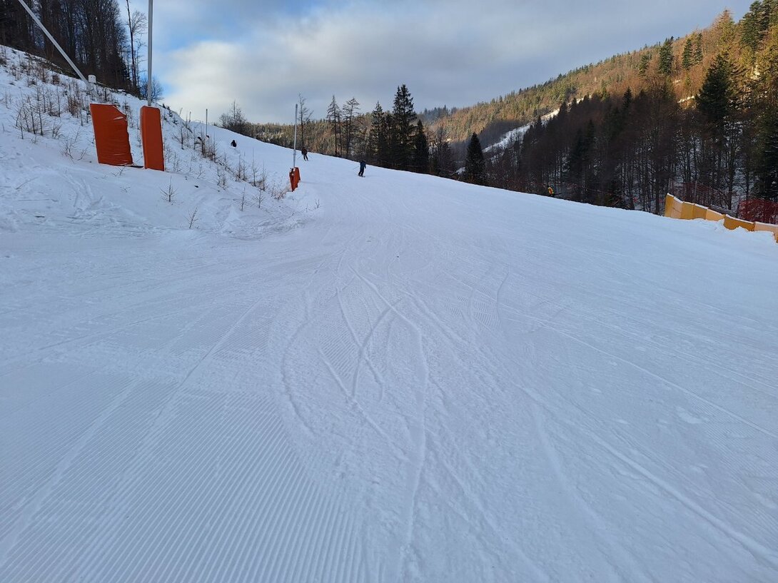 20240121_084657.thumb.jpg.f553e12152abc17e7a8bdaebc2c1c4f2.jpg