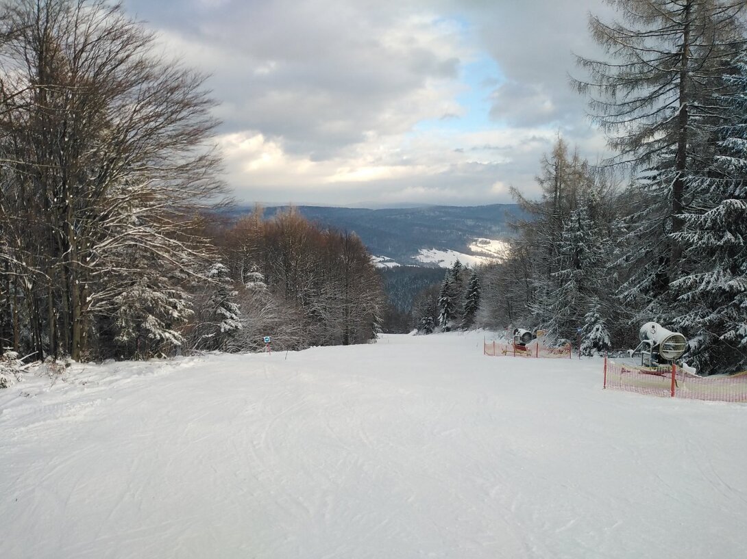 IMG_20240115_140348.jpg