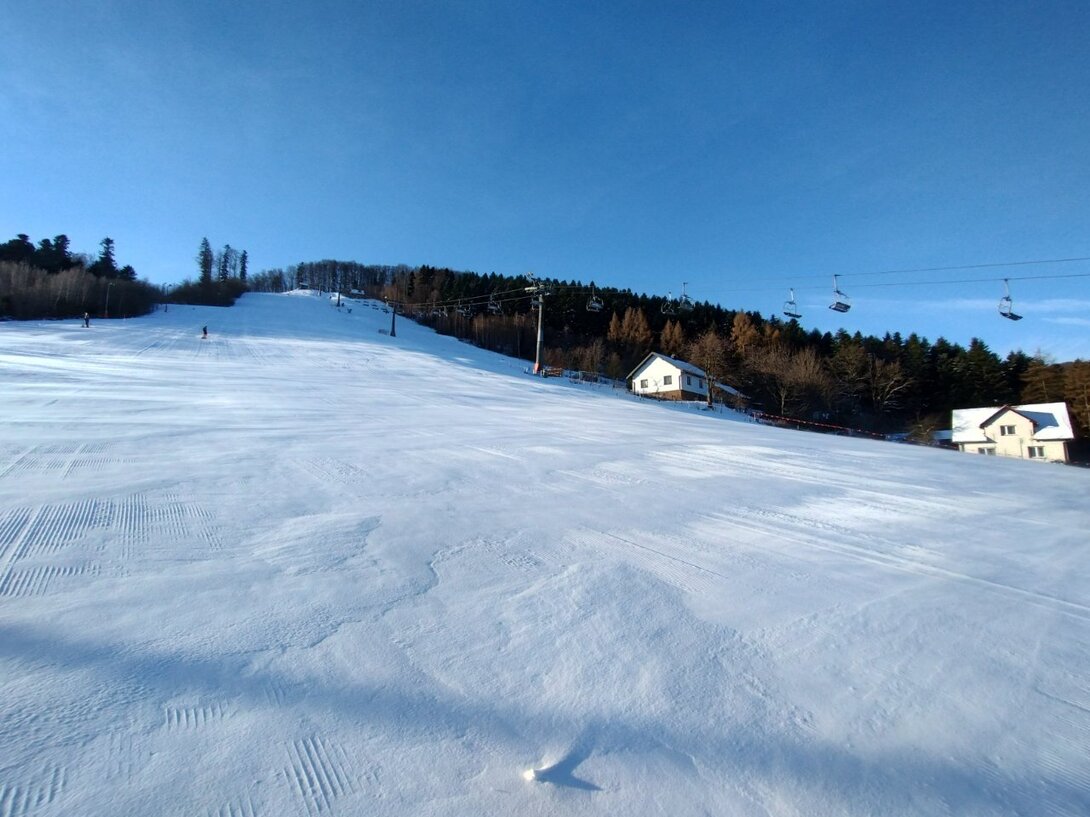 IMG_20240117_090922853_HDR.thumb.jpg.f41d686a05cd27c60b225e102f4aa3f1.jpg