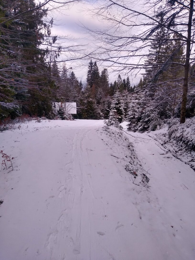 IMG_20240126_115018834_HDR.jpg