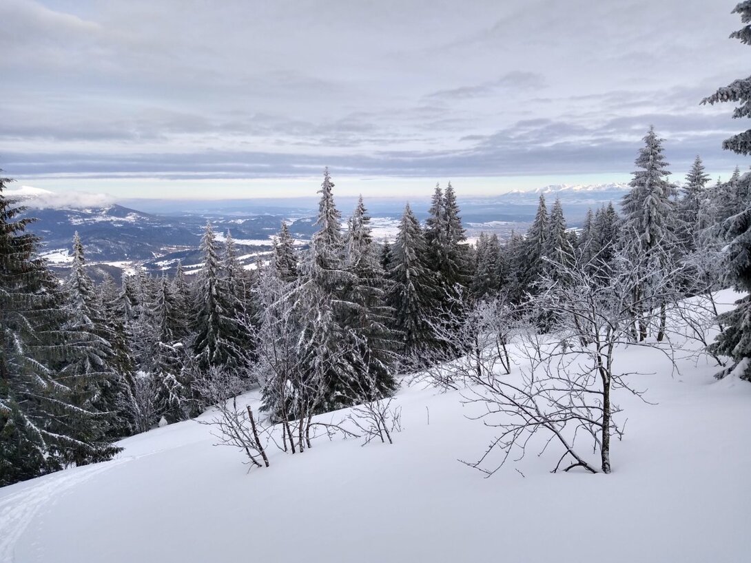 IMG_20240126_150549922_HDR.jpg