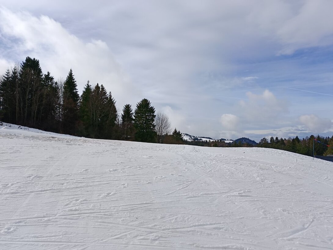 IMG20240204114746.thumb.jpg.f401d5a15525bcbd70d8ed36f705f81b.jpg
