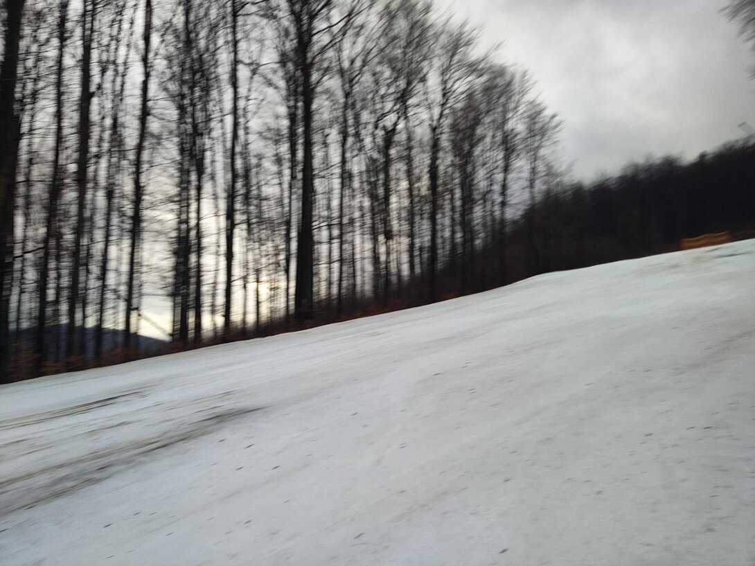 IMG_20240210_081803.jpg