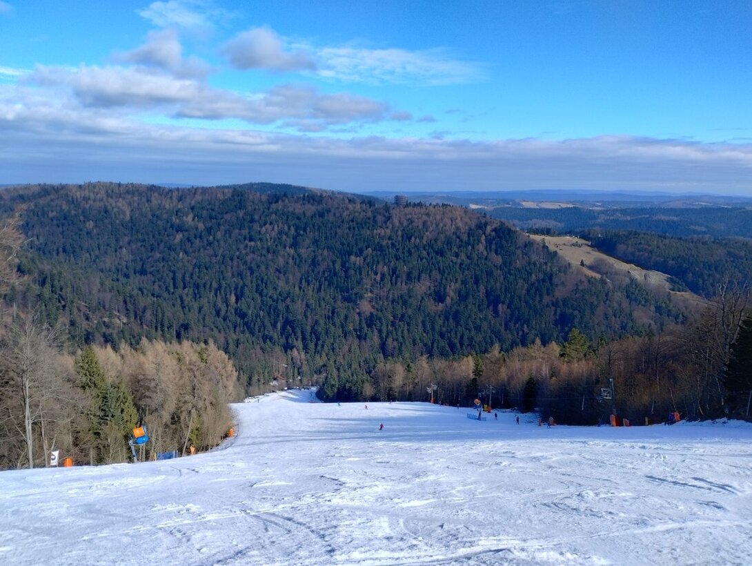 IMG_20240215_111648850_HDR.thumb.jpg.0227d73164abf11bd322b0701b1cb973.jpg