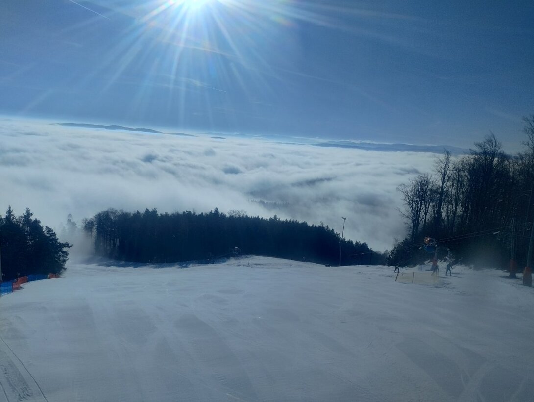 IMG_20240216_084915410_HDR.thumb.jpg.1f1d9b0407da111b18f54d1169794bc9.jpg