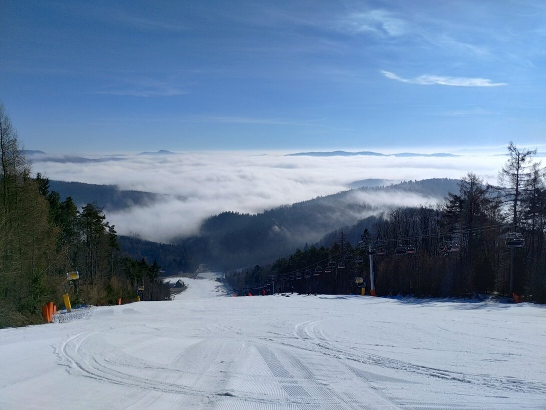 IMG_20240216_093913799_HDR.thumb.jpg.1a1d5768d25fbce96345e55844b295ee.jpg