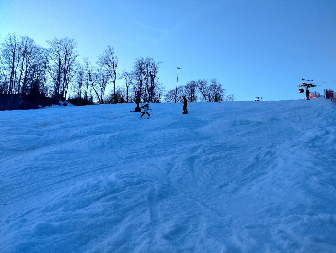 IMG_20240216_155436613_HDR.thumb.jpg.cc3d4d2a895e48d2ee6dff69fee1d4d1.jpg