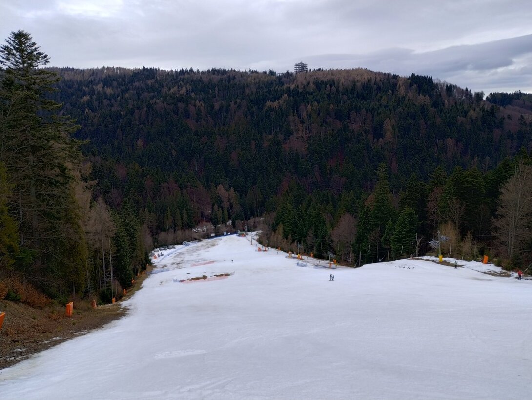 IMG_20240220_113136159_HDR.thumb.jpg.5e25e8b5c5827437ff4f9604440027f4.jpg