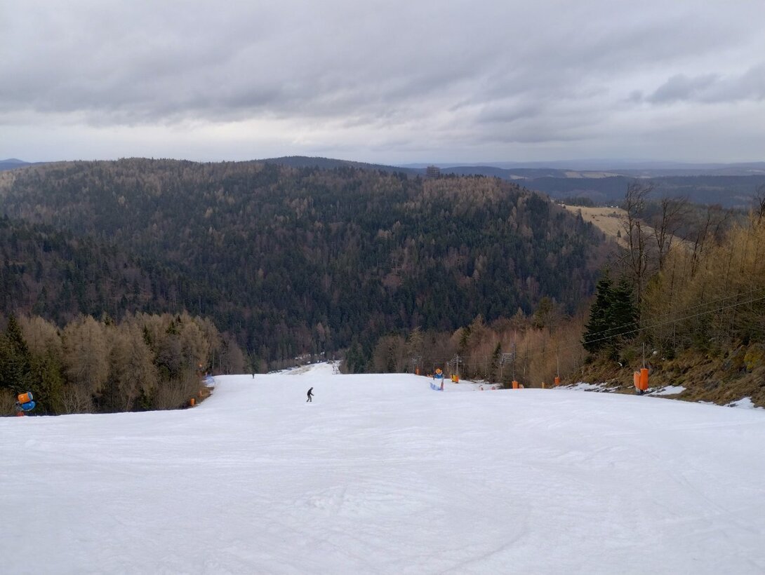 IMG_20240220_124312108_HDR.thumb.jpg.a06cc549c7da39e6dc87065ce8e4d6a4.jpg