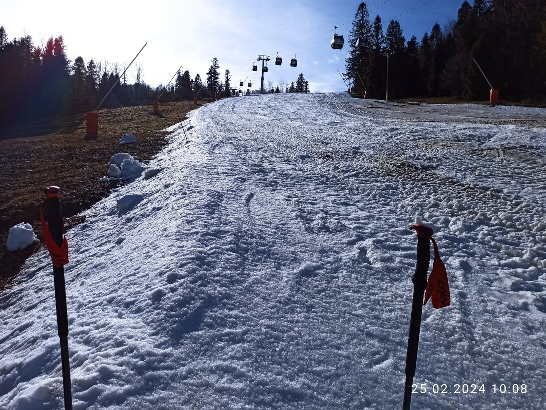 IMG_20240225_100848.jpg