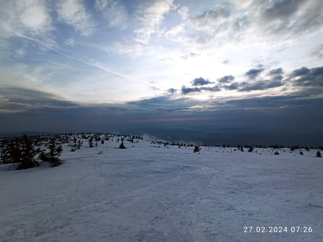 IMG_20240227_072625.jpg