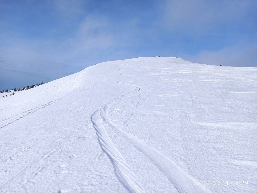 IMG_20240227_082935.jpg