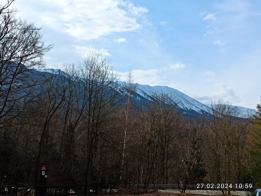 IMG_20240227_105928.jpg