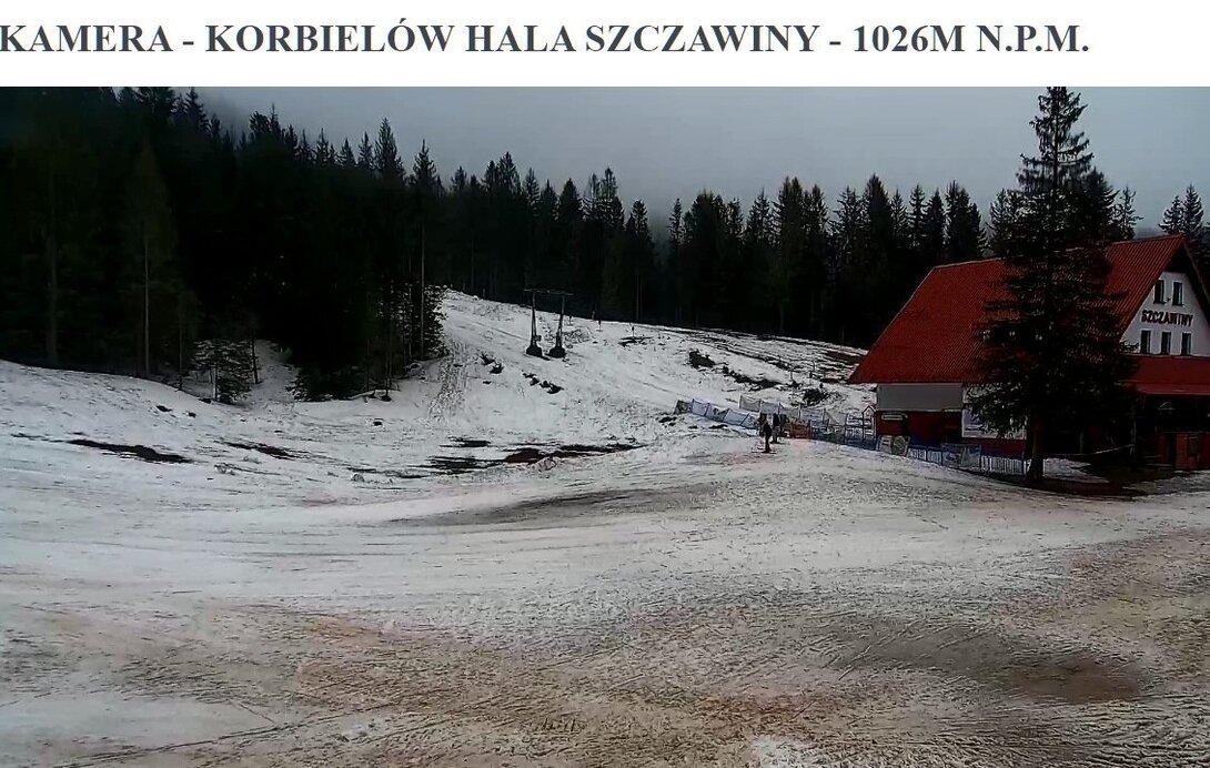 Przechwytywaniewtrybiepenoekranowym2024-02-12101910.thumb.jpg.42b919d2d9a9cf97151979502e05e3b4.jpg