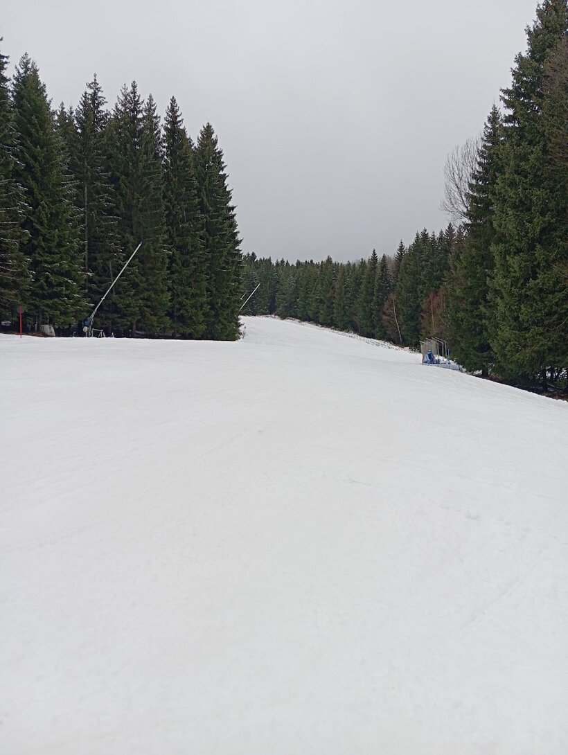 SAVE_20240209_130020.jpg