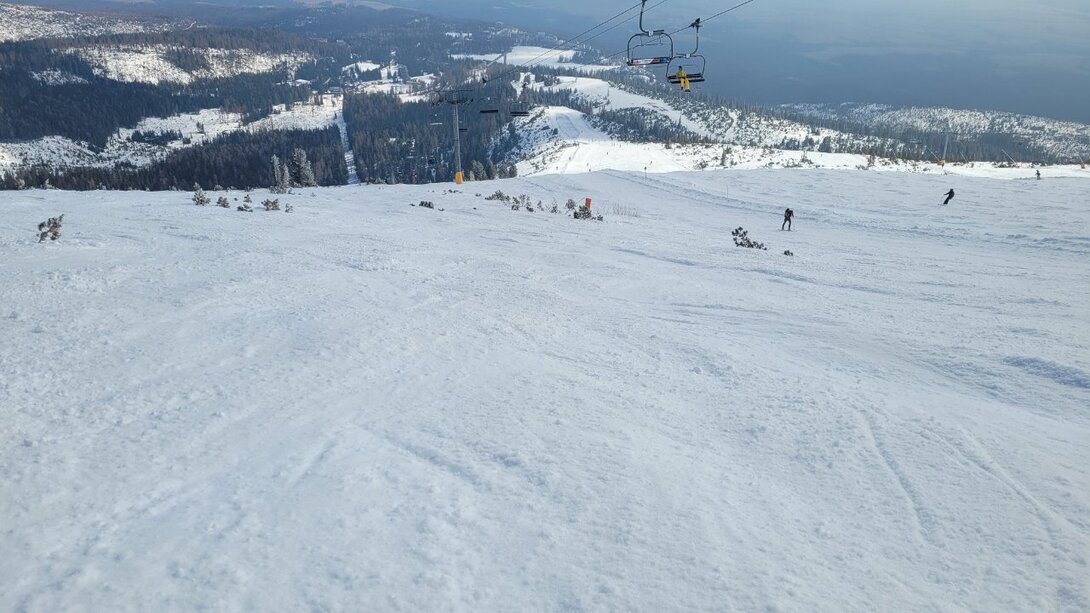 20240309_131446.thumb.jpg.9141b0b20901333f84e5580c026acb74.jpg
