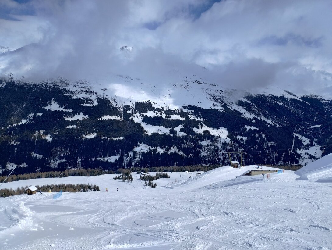 IMG_20240313_111142825_HDR.thumb.jpg.cfb0e193ef2ad3a2e159396bd486a145.jpg