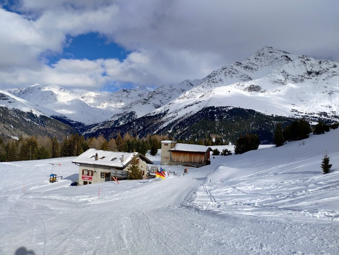 IMG_20240316_161244514_HDR.thumb.jpg.cf10da252fc76816229886d2e3d060e6.jpg