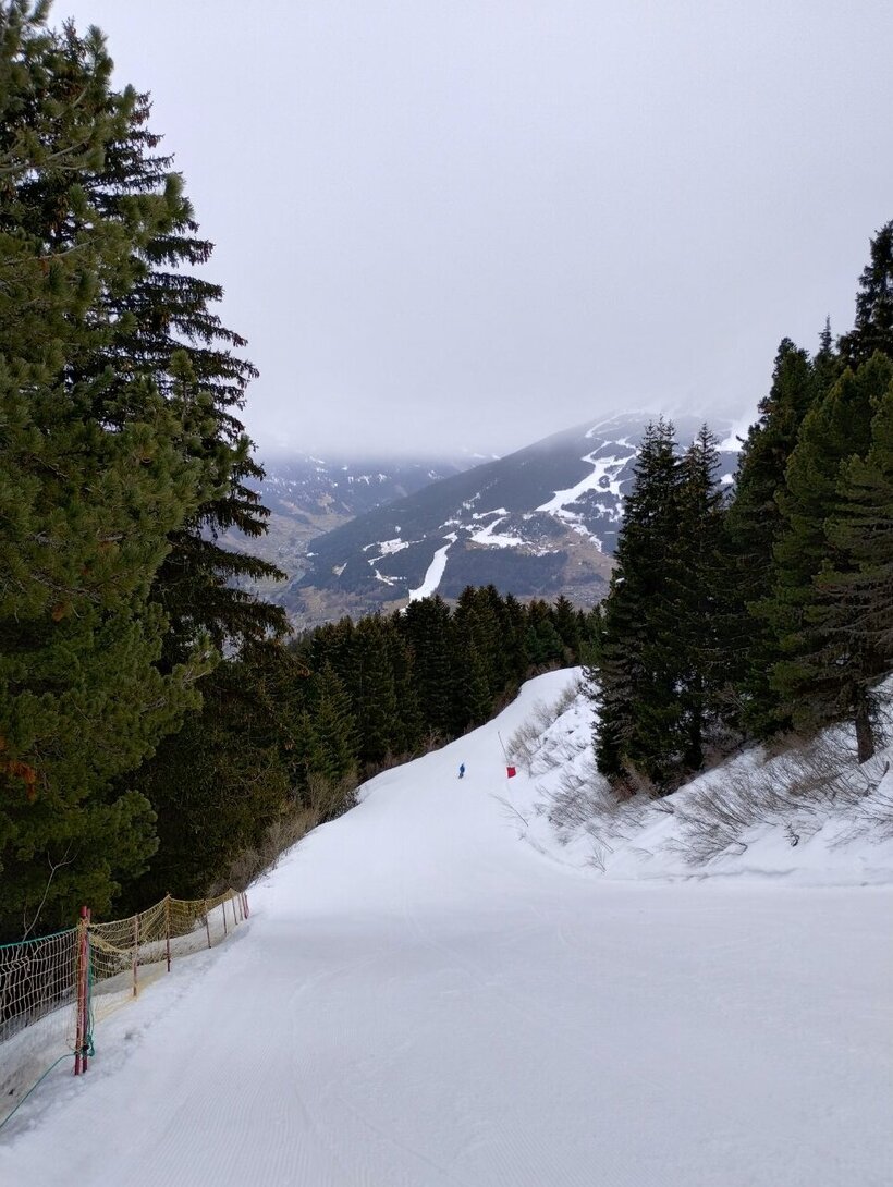 IMG_20240318_093736543_HDR.thumb.jpg.beb45200224f51920142a5621fb973fb.jpg