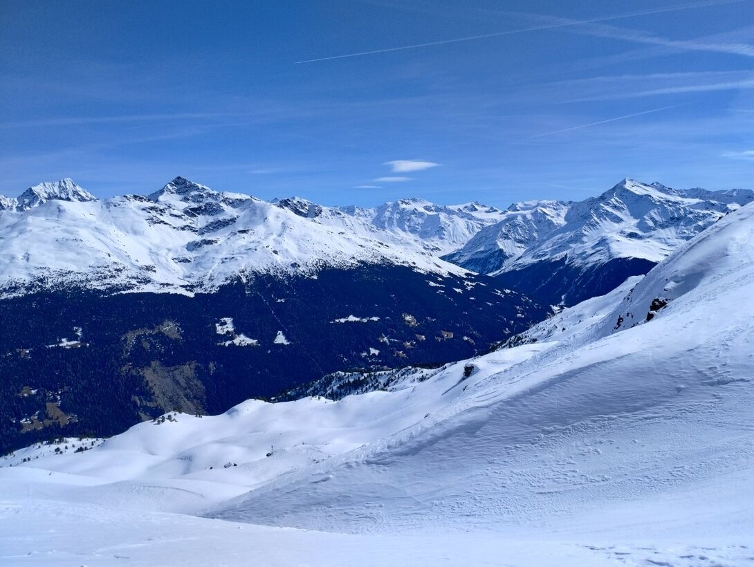 IMG_20240322_105257560_HDR.thumb.jpg.02a7d0b34ac0d372c6ea0aca0bd8bbe9.jpg