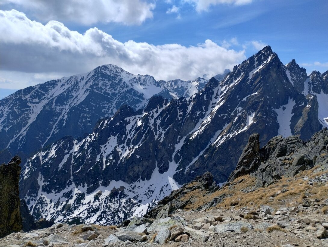 IMG_20240412_134112924_HDR.thumb.jpg.6786840e3ff9f3f5885ddde5a948191c.jpg