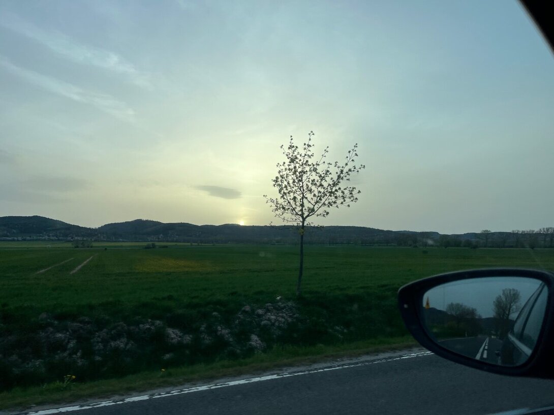 IMG_9220.jpeg