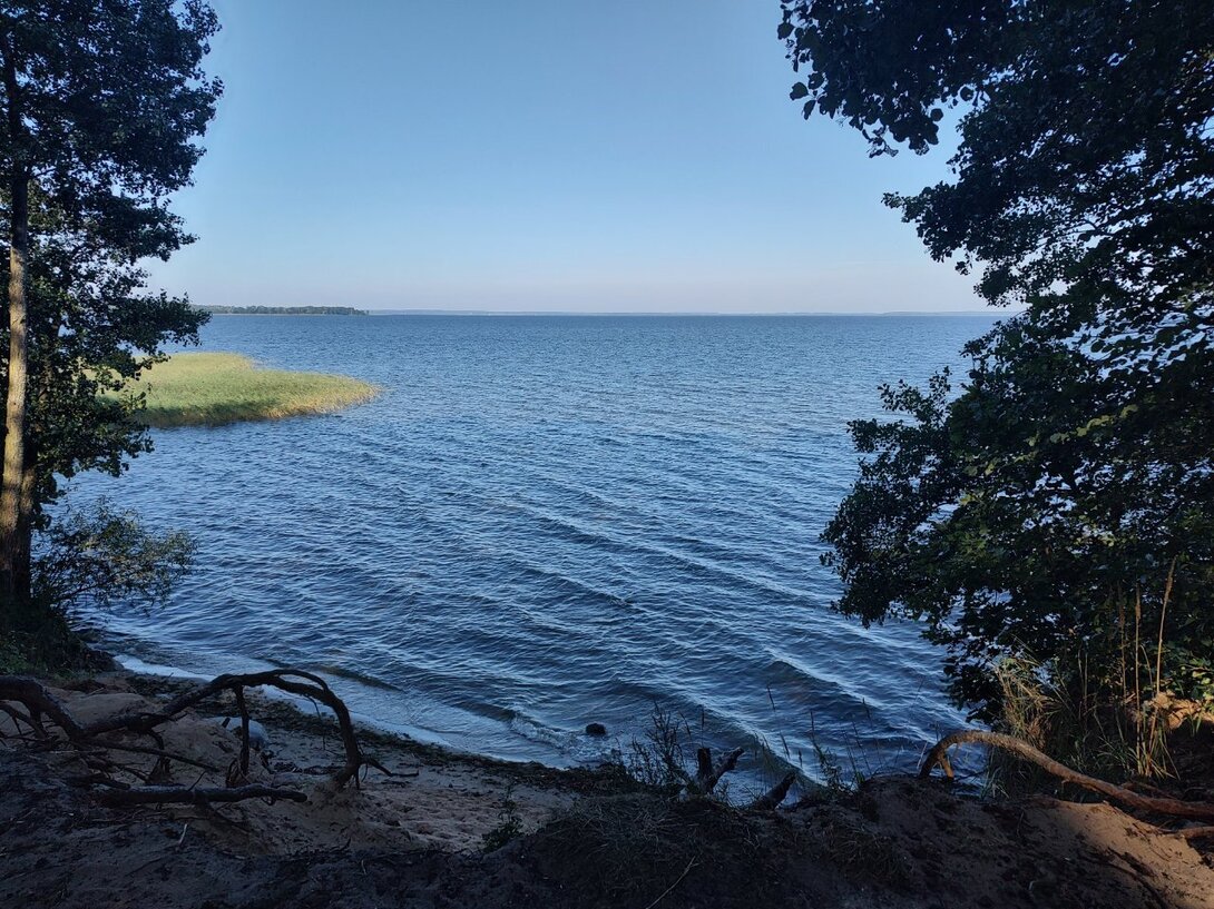 IMG_20240827_083708467_HDR.jpg