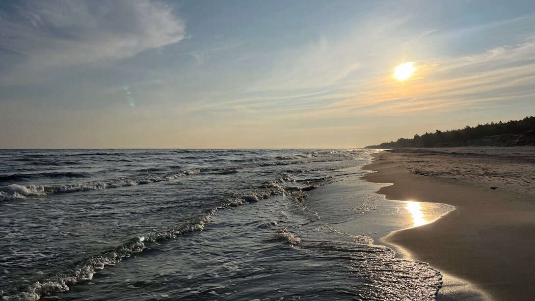 IMG_3678.jpeg