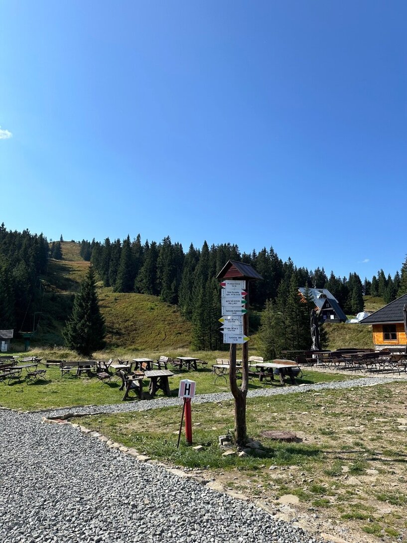 IMG_6474.jpeg