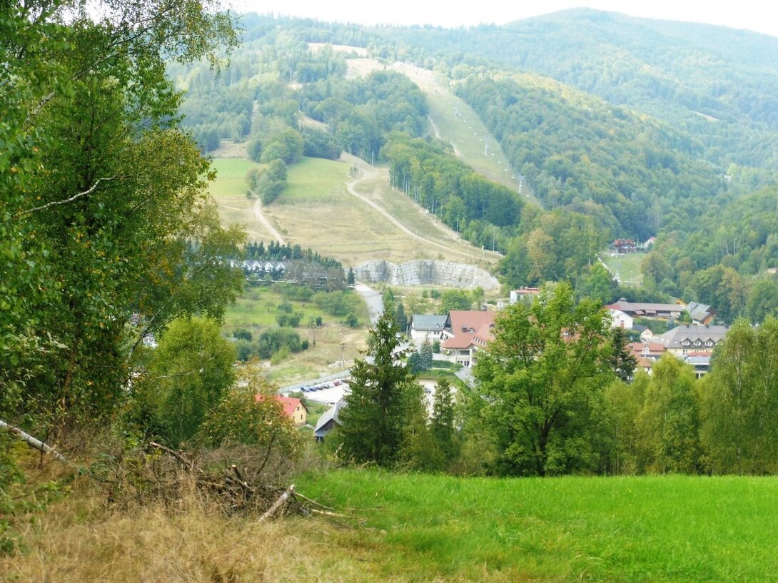 P1080533.JPG