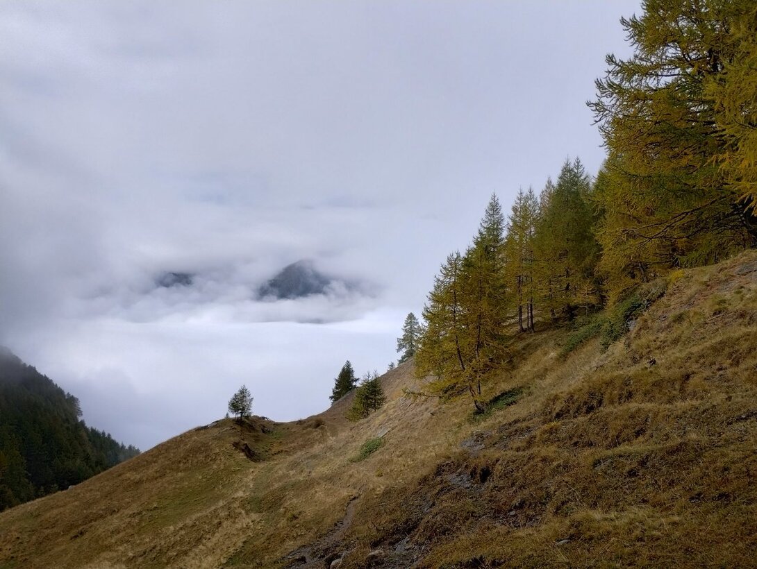 IMG_20241007_110346579_HDR.thumb.jpg.e6f0bb511a709a97212c4f0b1e127c61.jpg