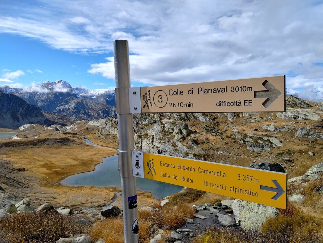 IMG_20241009_150641078_HDR.thumb.jpg.b21d63c23377d8917929f7d18d3f1b84.jpg