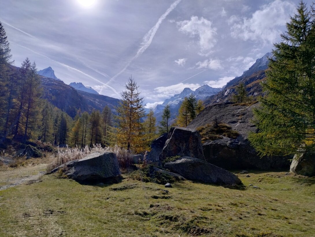 IMG_20241012_115043685_HDR.thumb.jpg.604576f25fbd8837667ff67066d7a8c5.jpg