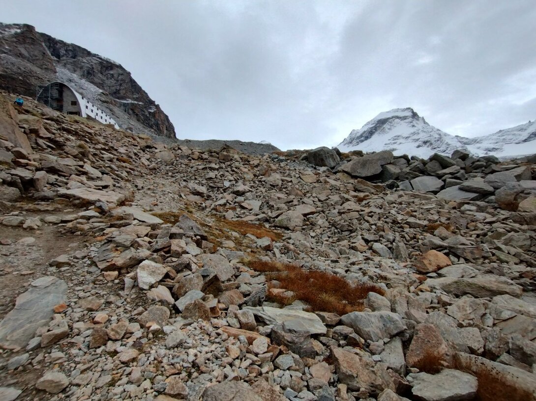 IMG_20241012_143305525_HDR.thumb.jpg.2575d4cd441bdc0feab79ae9b1d9acf7.jpg