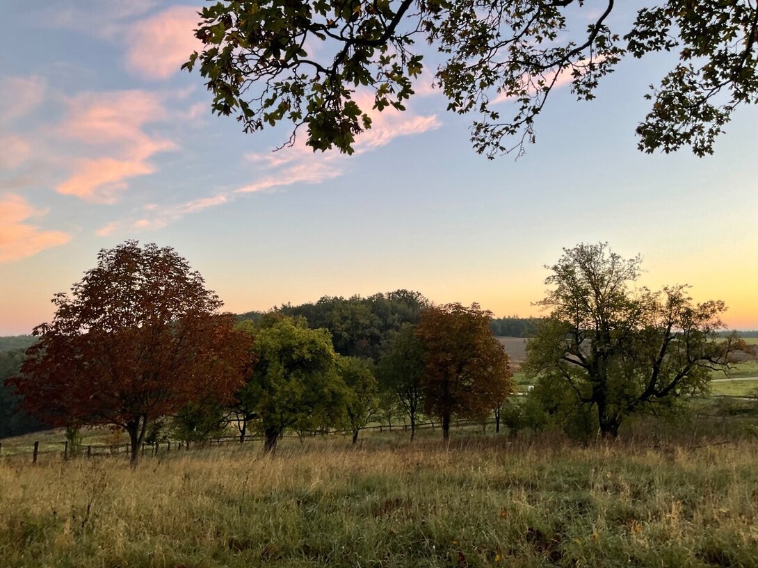 IMG_7486.jpeg