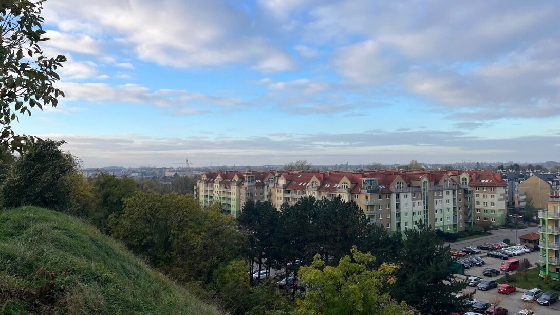 IMG_8862.jpeg