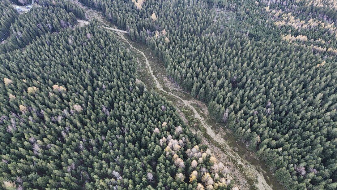 DJI_20241109151009_0135_D.JPG