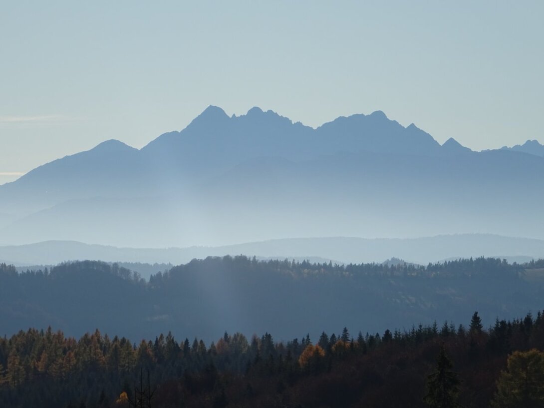 DSC00166.thumb.JPG.c66f34a9653c8342ee1b27e771b87245.JPG