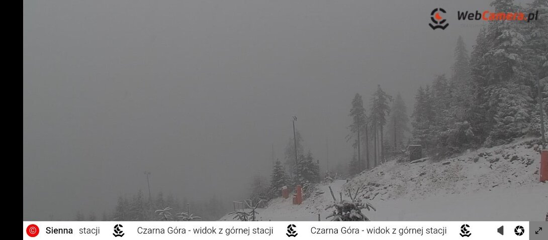 Screenshot_2024-11-18-09-15-31-578_com.android.chrome.jpg