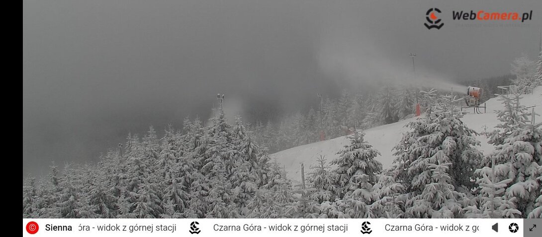 Screenshot_2024-11-21-10-19-47-717_com.android.chrome.jpg