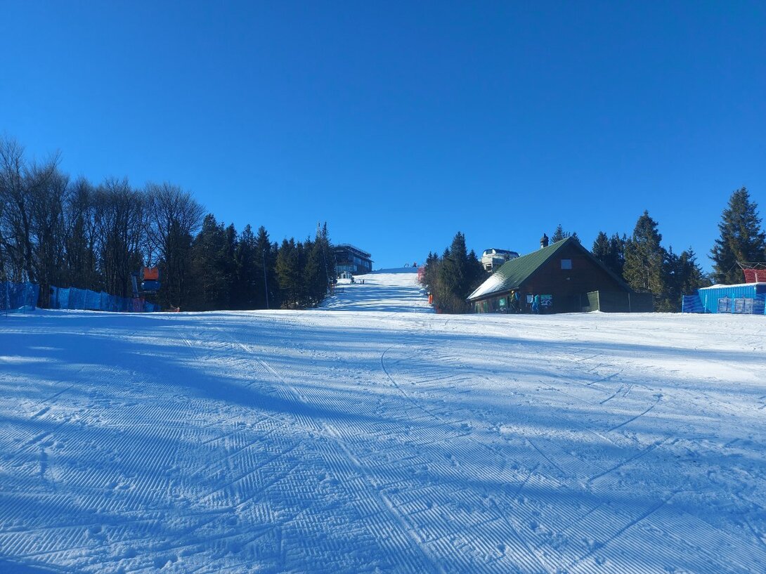 20241201_105754.jpg