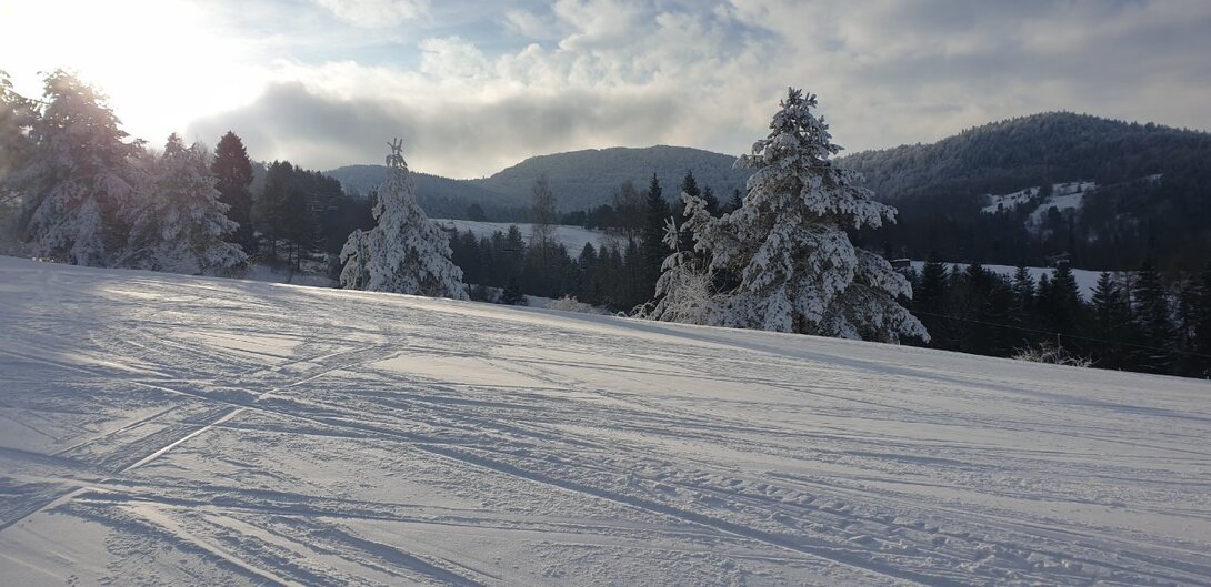20241214_095801.jpg