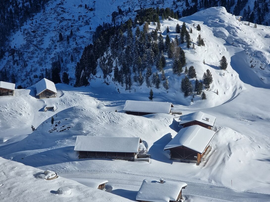 20241225_123938.thumb.jpg.088ec2916867c181c2454844ae0c0e27.jpg
