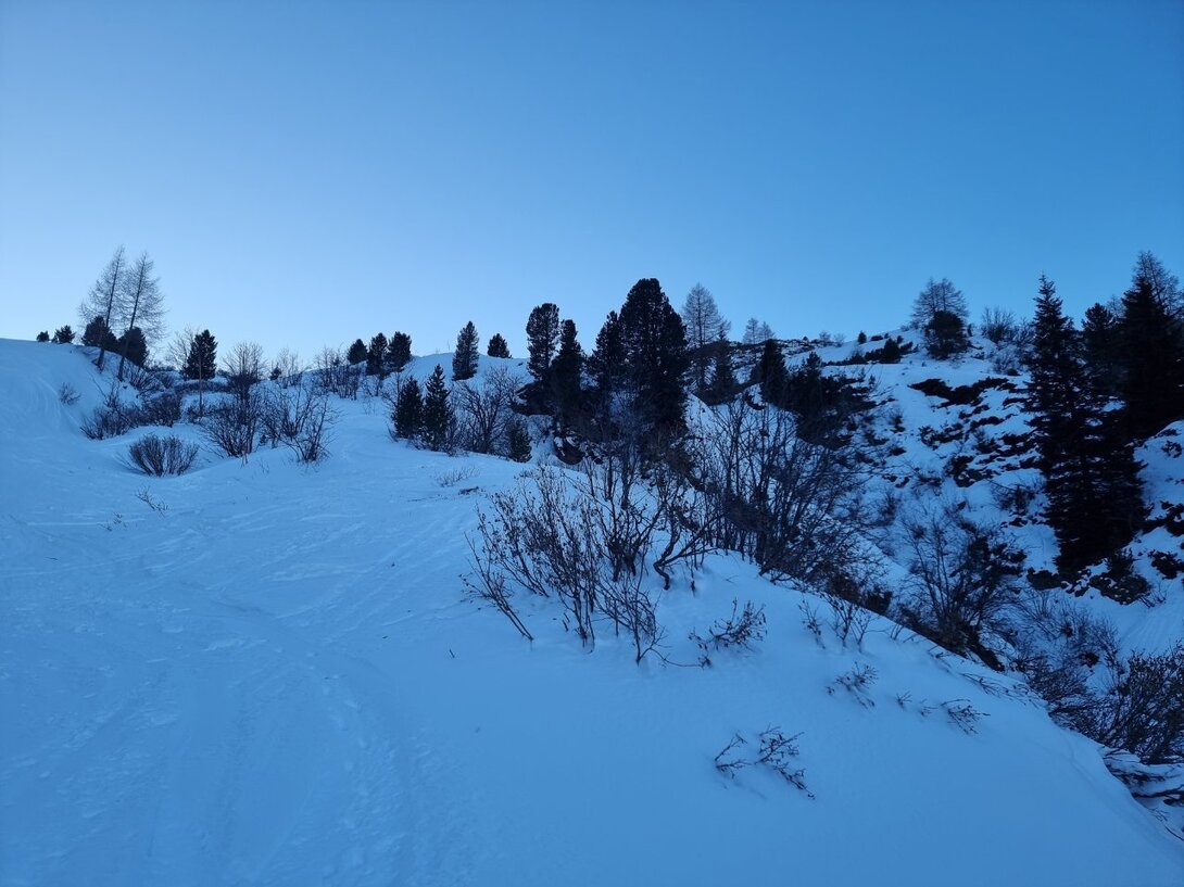 20241228_154259.thumb.jpg.6a7342f87558717a711abde6e95f3710.jpg