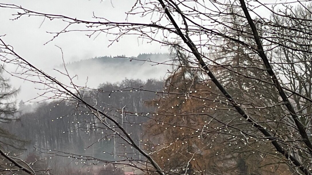 IMG_1405.jpeg