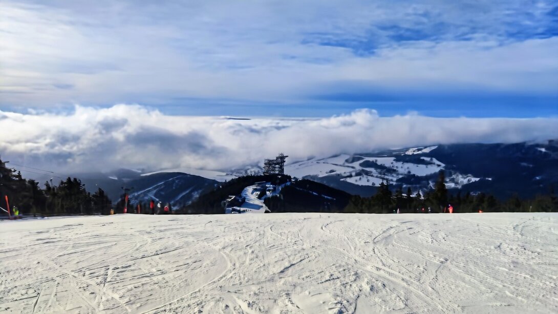 IMG_20250106_112659~3.jpg