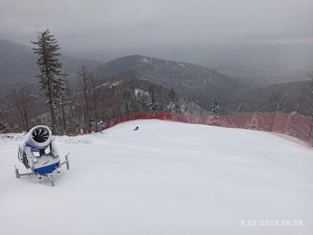 IMG_20250108_085848.jpg